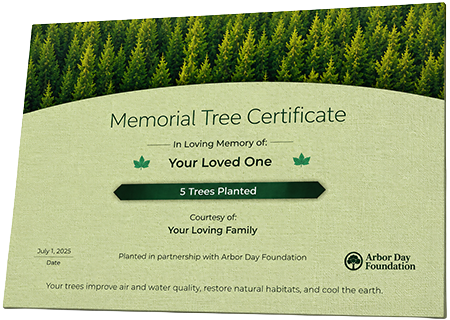 Plant Trees in Memory of Rogers Daniels